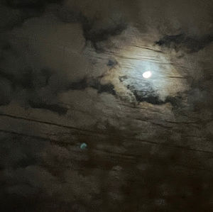 Meet your Posher, Luna